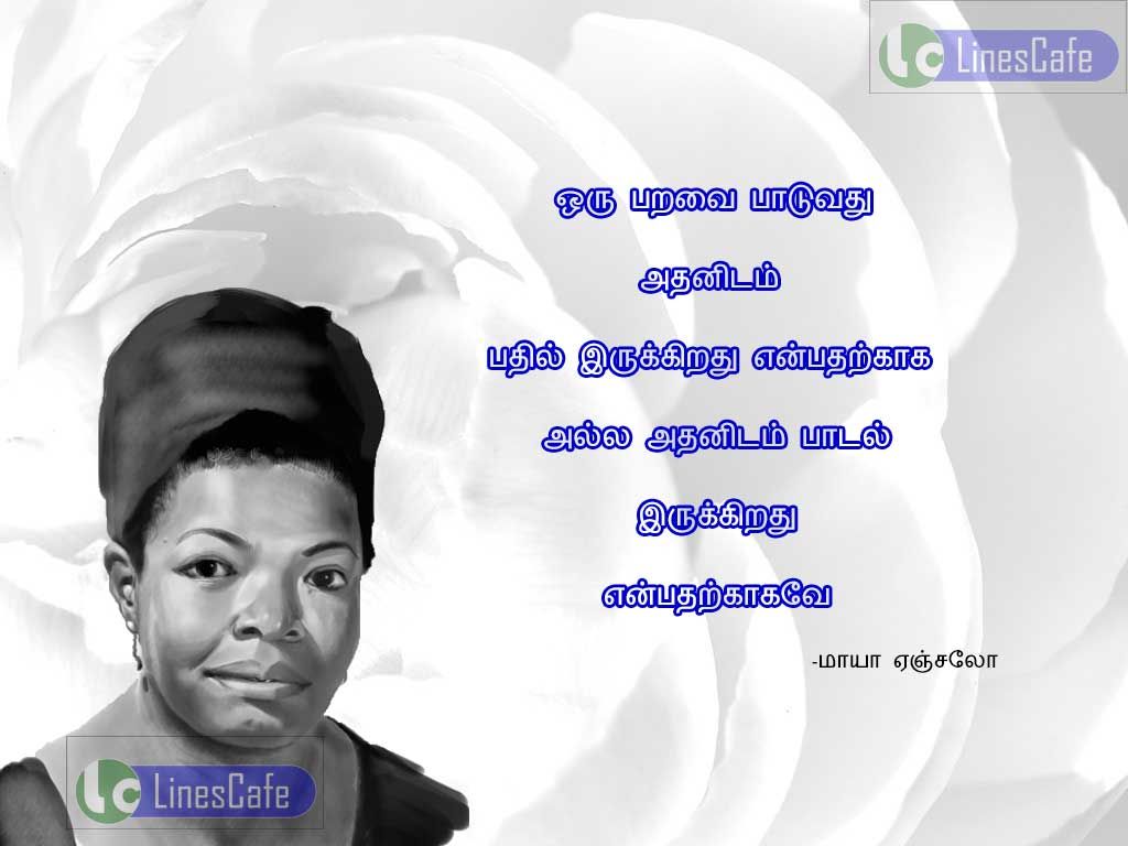 Tamil Quotes About Birds By Maya AngelouOru paravai patuvathu athanitam pathil erukirathu enpatharkaga alla, athanitam patal erukirathu enpatharkaka