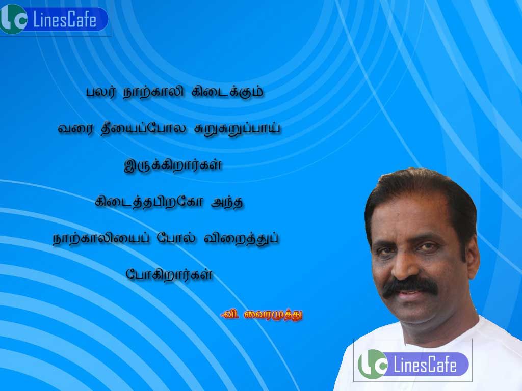 Vairamuthu Tamil Quotes About HumanBalar narkali kitaikum varai thiyaipol surusurupai erukirarkal. kitaithapirako, antha narkaliyai pol viraithu pokirarkal